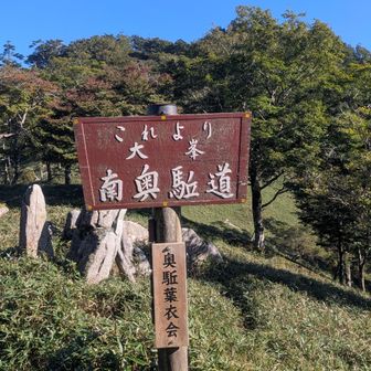 ここから後半戦🏃