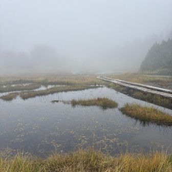 四十八池湿原　