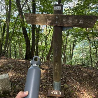 今日条例で山頂はコーラと決まっています