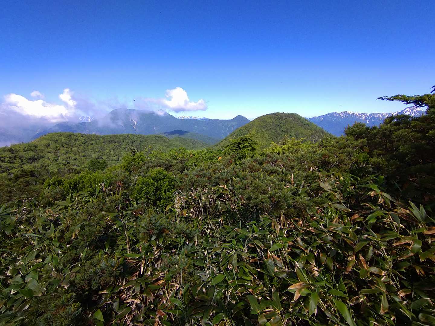 大橋登山口-種池-黒姫山-西登山口 周回コースの写真