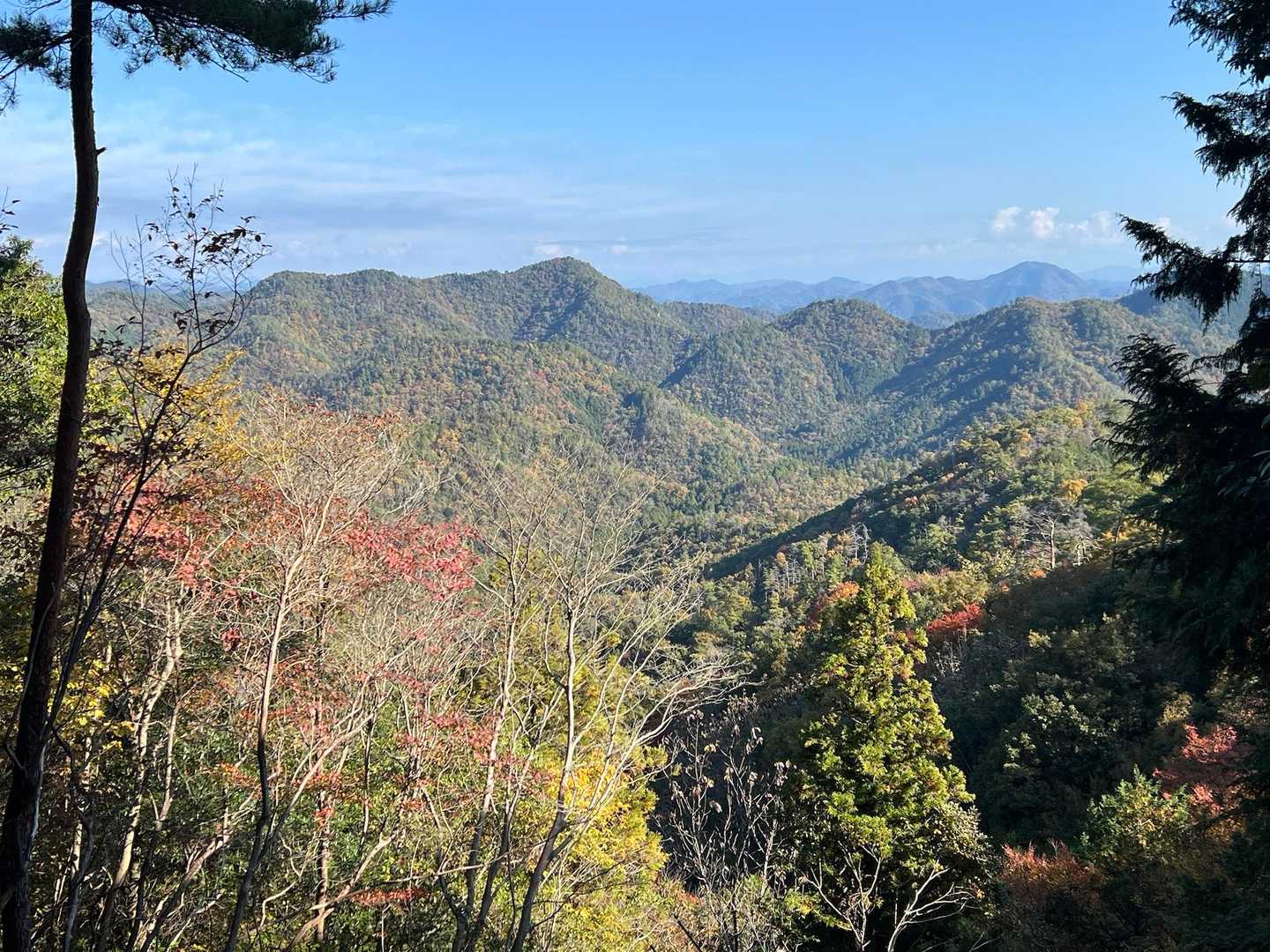 日龍峯寺-高沢山-大仏山-本城山 周回コースの写真