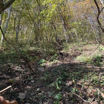 かなりの急登の登山道💦