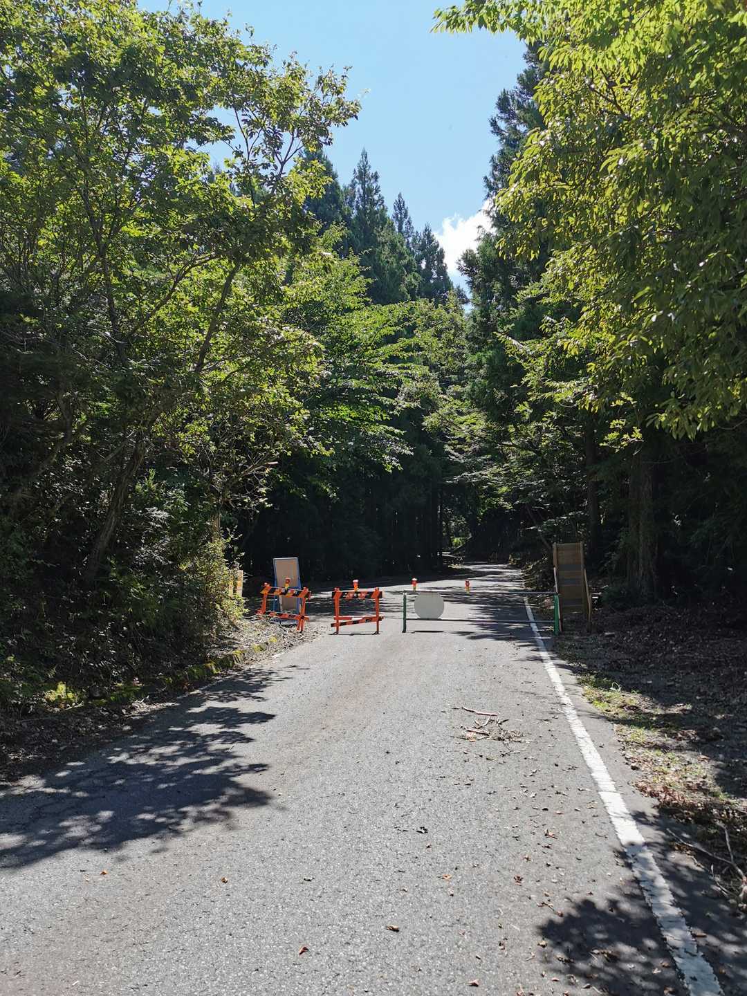 登山口まで下山