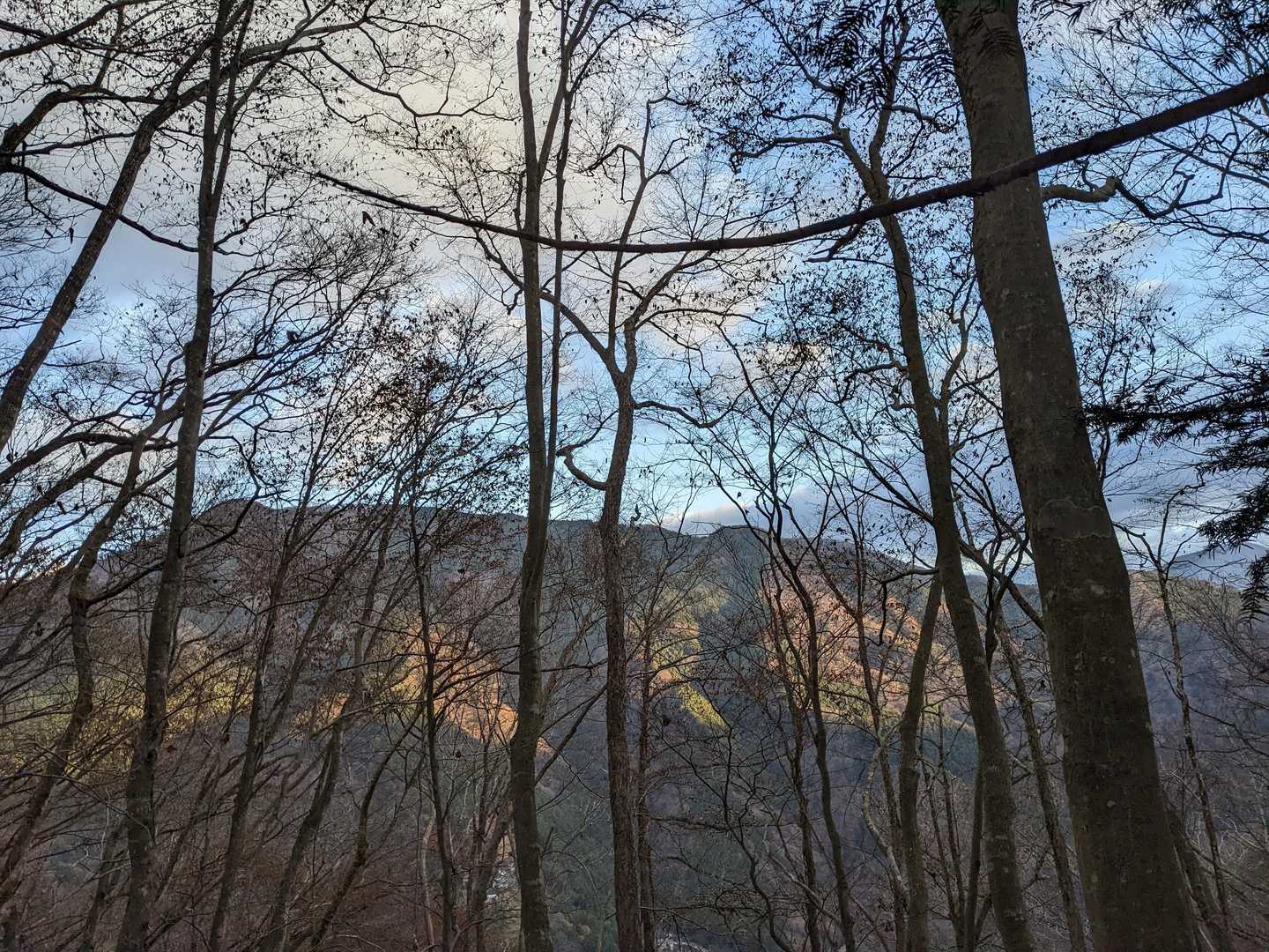 左を見ると山が明るくなってきた✨
青空もｳｷｳｷ