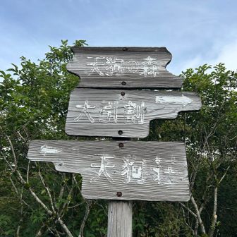 初、天狗の森👏
