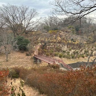 橋を渡ってハイキングスタート