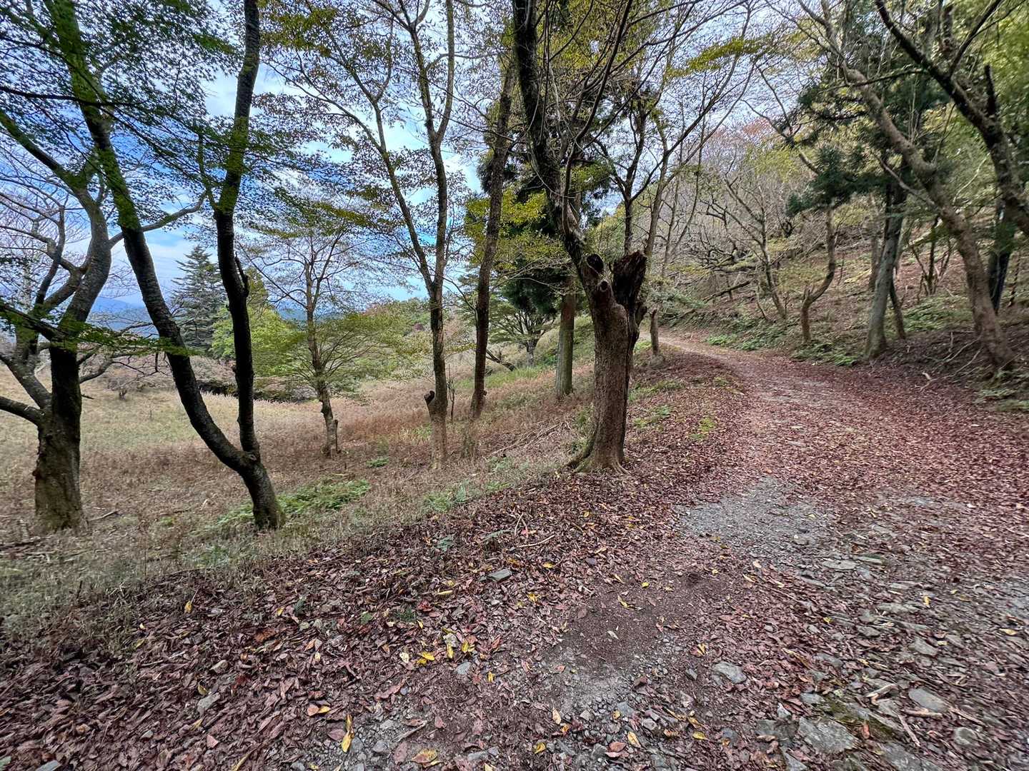 ロープウェイ比叡駅-横高山-水井山-仰木峠-戸寺バス停 縦走コースの写真