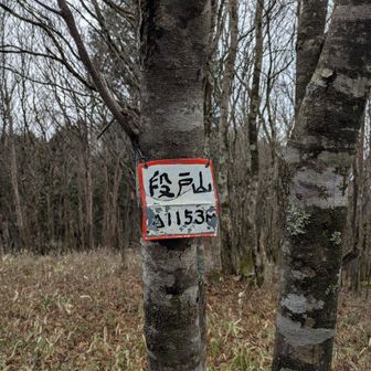 標高1153m、鷹ノ巣山（段戸山）頂上に到着。