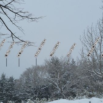 東方面景観ゼロ