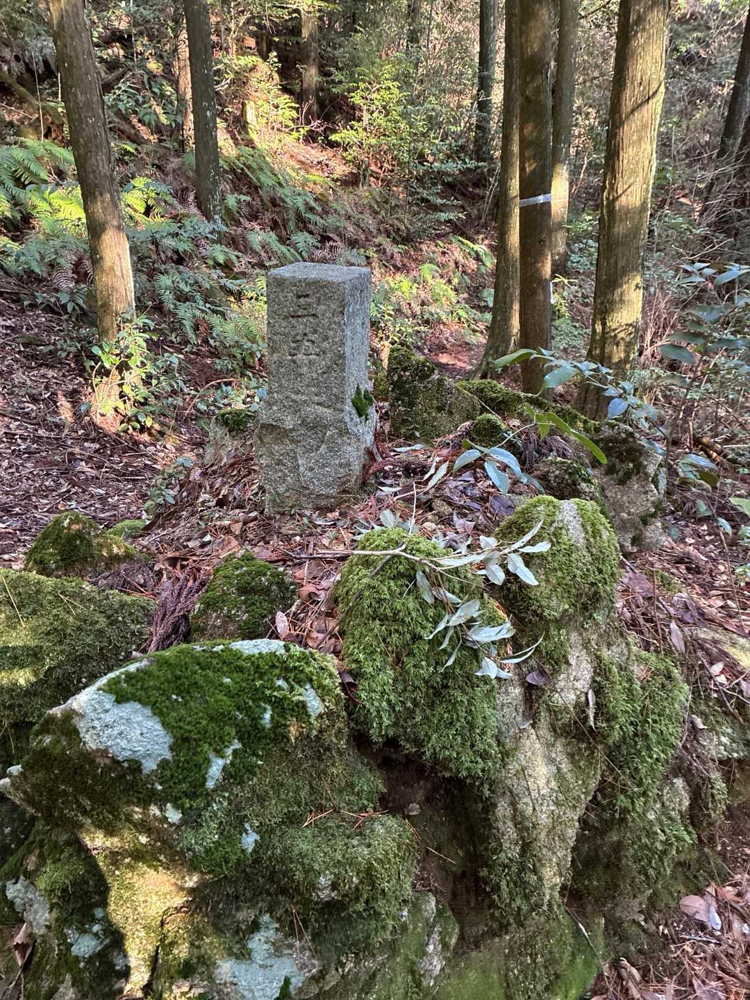 次は隆岳に登ります