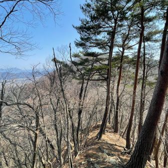 急斜面にたまった落ち葉が滑ります💦　アップダウンを繰り返して明覚山へ🚶‍♀️‍➡️