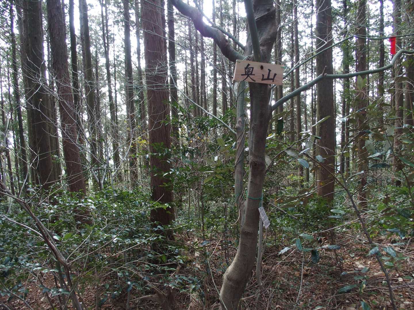 奥山
‥見晴らしはありません