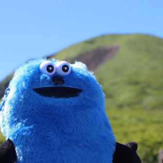 ぽん