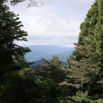 富士山は見えません。