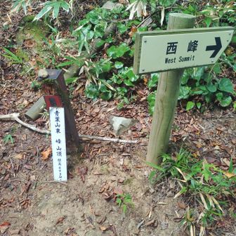 西峰に向かいます