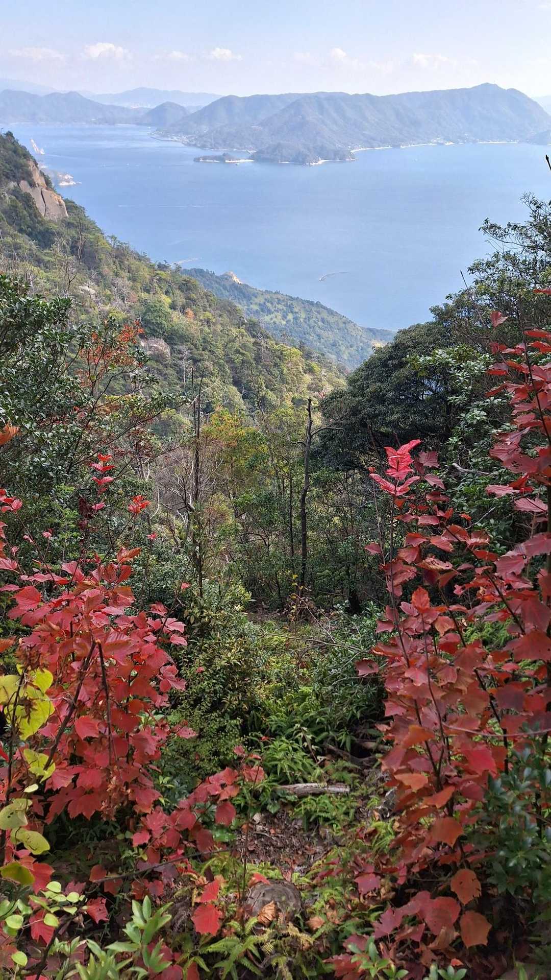 獅子岩駅発着｜宮島ロープウェーで楽しむ弥山 往復コースの写真