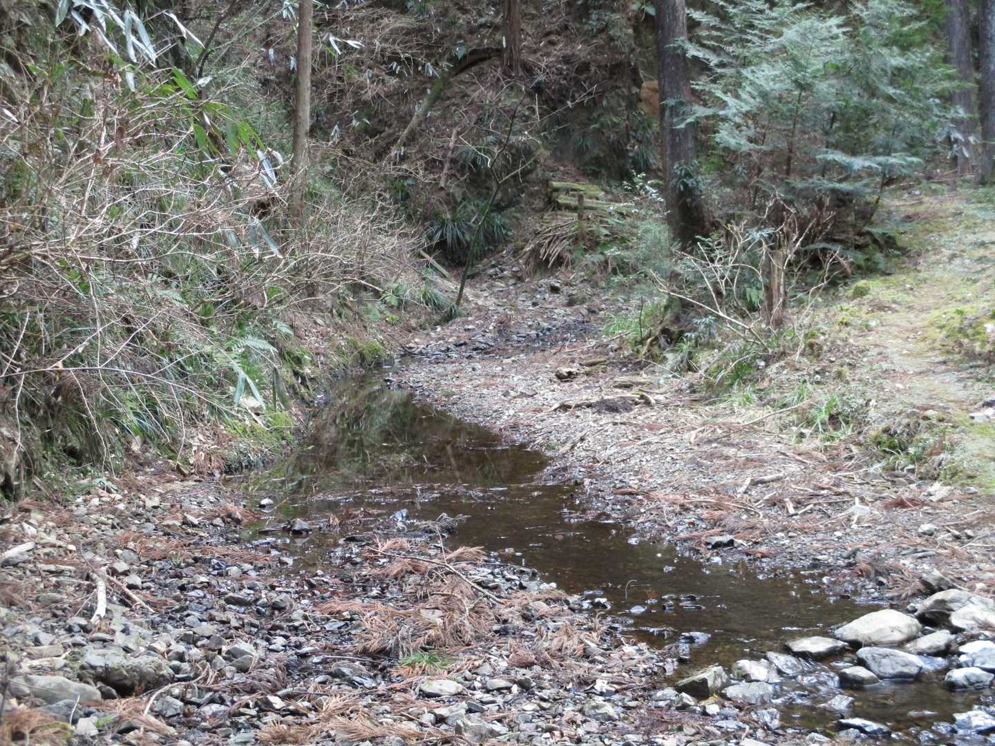 沢に下りてしまった…
ここから第三休憩所に登り返しました