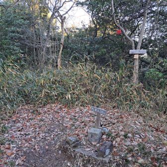 裏にあったよ⤴

松尾山🗻