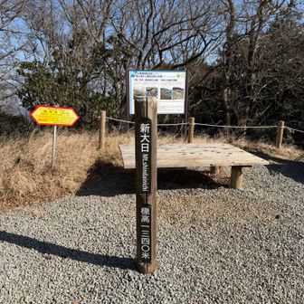 新大日峠山頂
前回はここで水が切れて撤退しました。