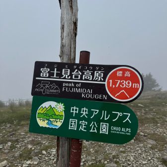 登頂！