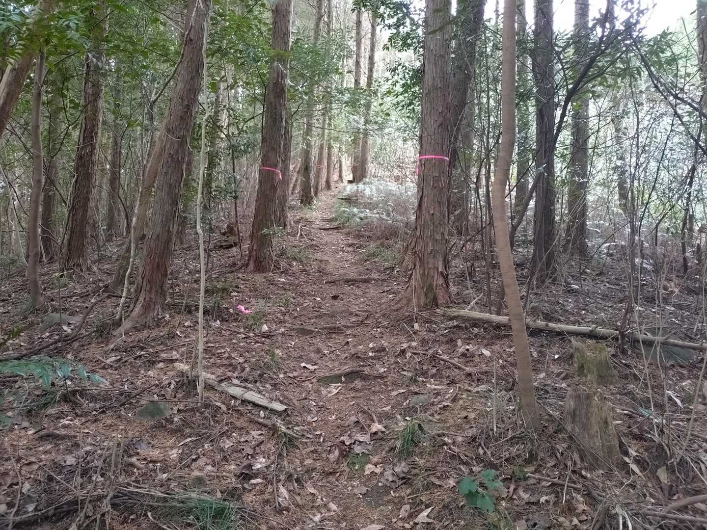 このお山は夏に逆から登って三重嶽だけ登ったんだ。
激下りにおののいて二重嶽、一重嶽は行かなかった😅