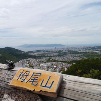 案内版変わった
