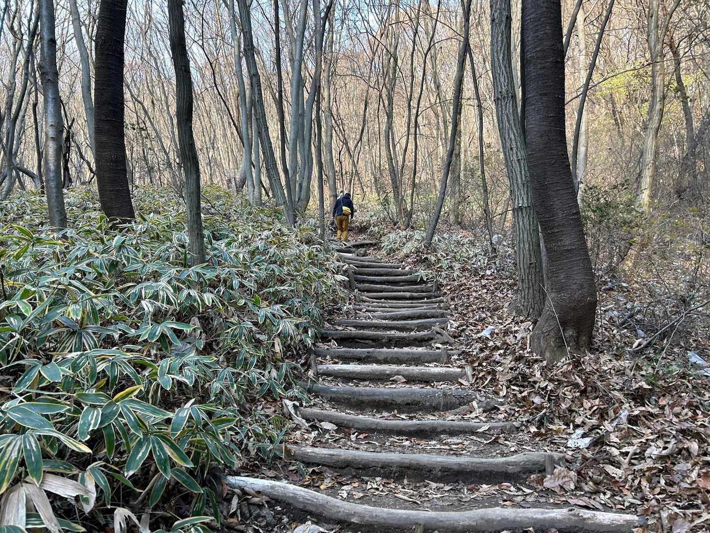 この山
8割は階段です🥹