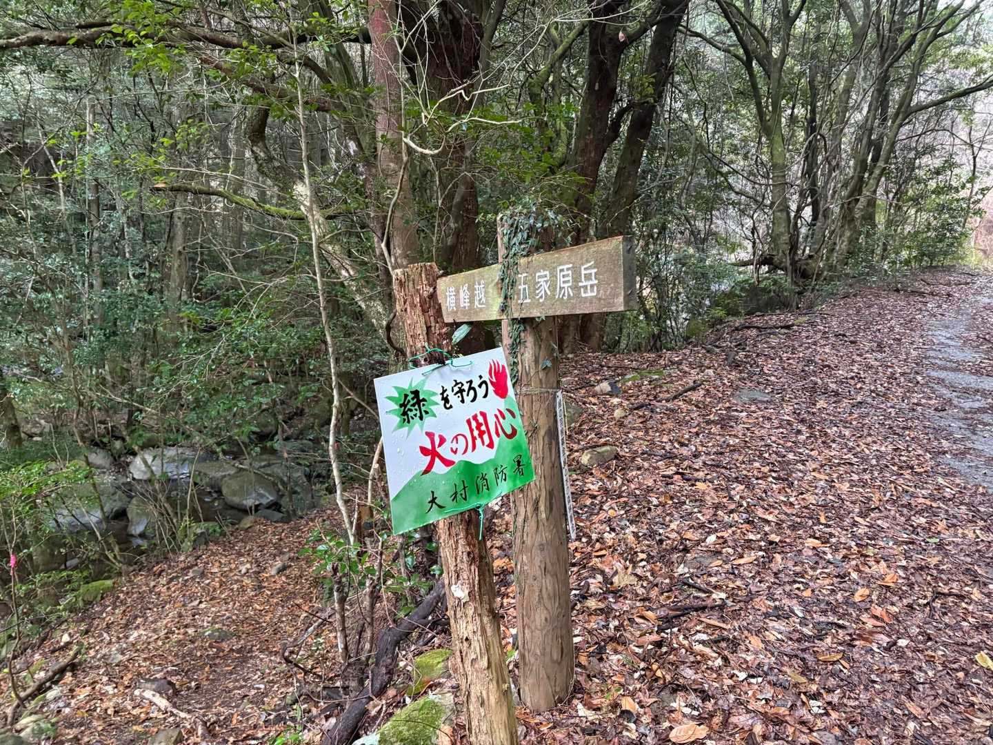 林道から登山口へ