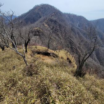 熊笹ノ峰付近から檜洞丸方面