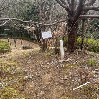うさぎ山。公園のなか