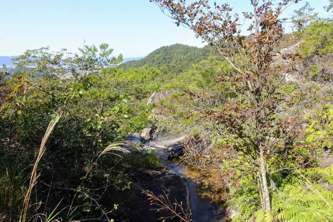 鶏冠山の写真