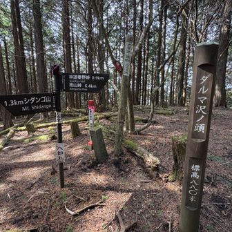 ダルマ沢ノ頭（標高 880）通過

八郎丸とも言うのかな
