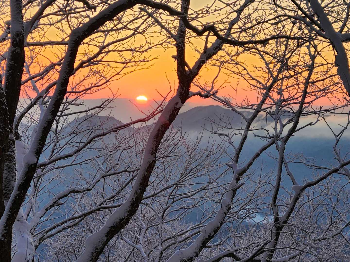 三和峠-風越-聖峠-聖山 往復コースの写真