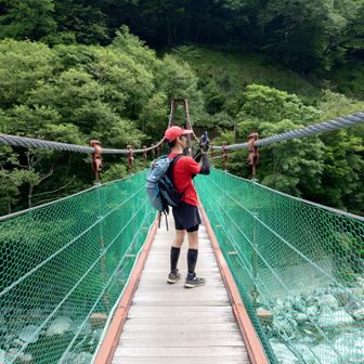 二日目はこの方とルートも一緒で抜きつ抜かれつでした。一日目は奈良田から笹山に登り同じく北岳山荘に宿泊したらしい。一日目の累計標高は3000超え、いわゆるツワモノです。