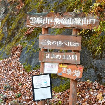 国道まで下りてきました。