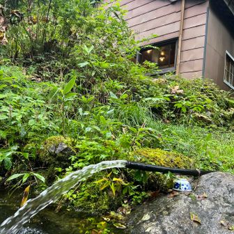 この水も飲めます