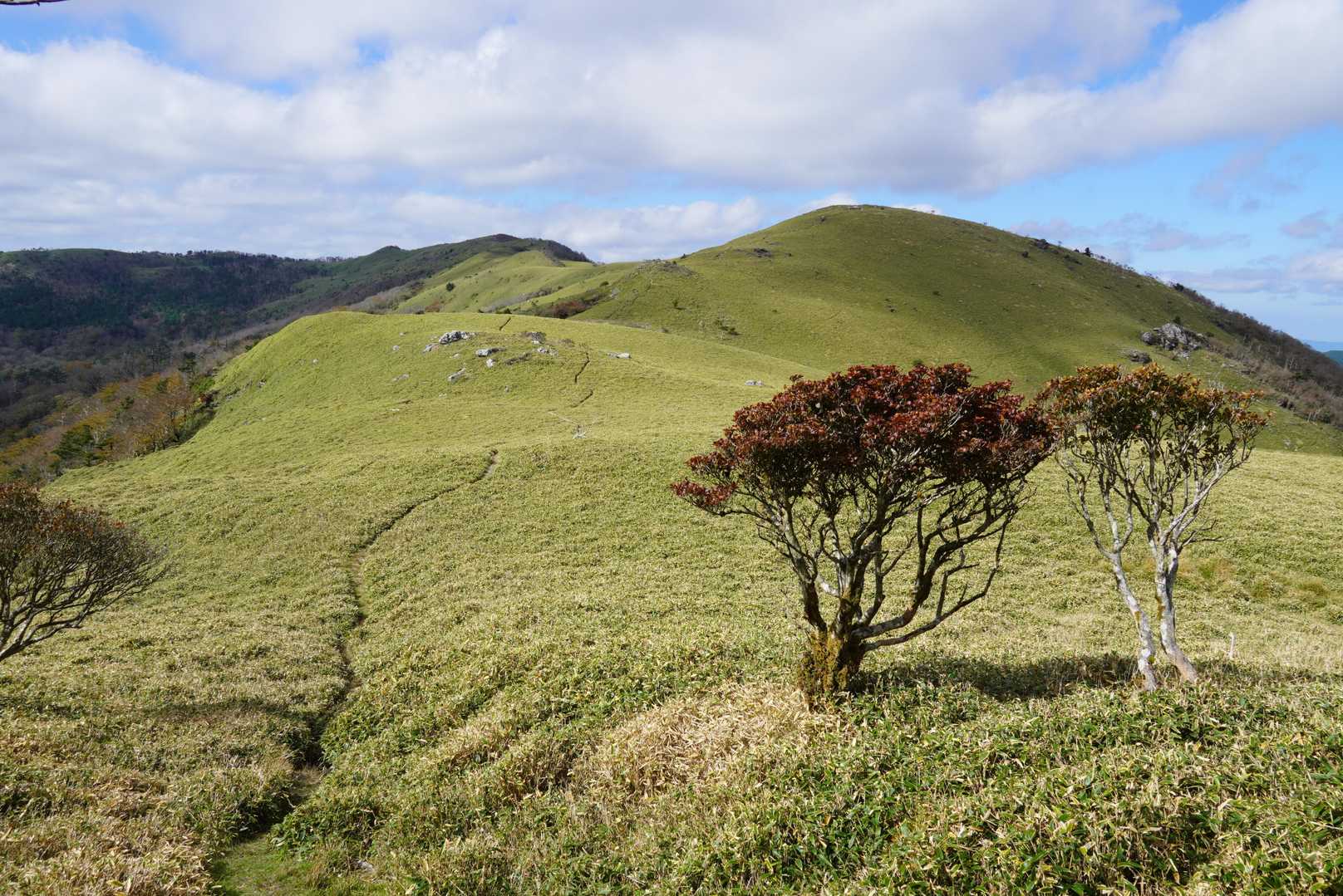 京柱峠-小桧曽山-土佐矢筈山 周回コースの写真