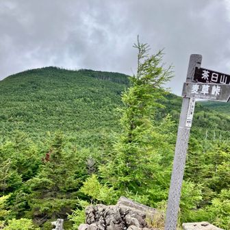 中小場まで戻ってきた。