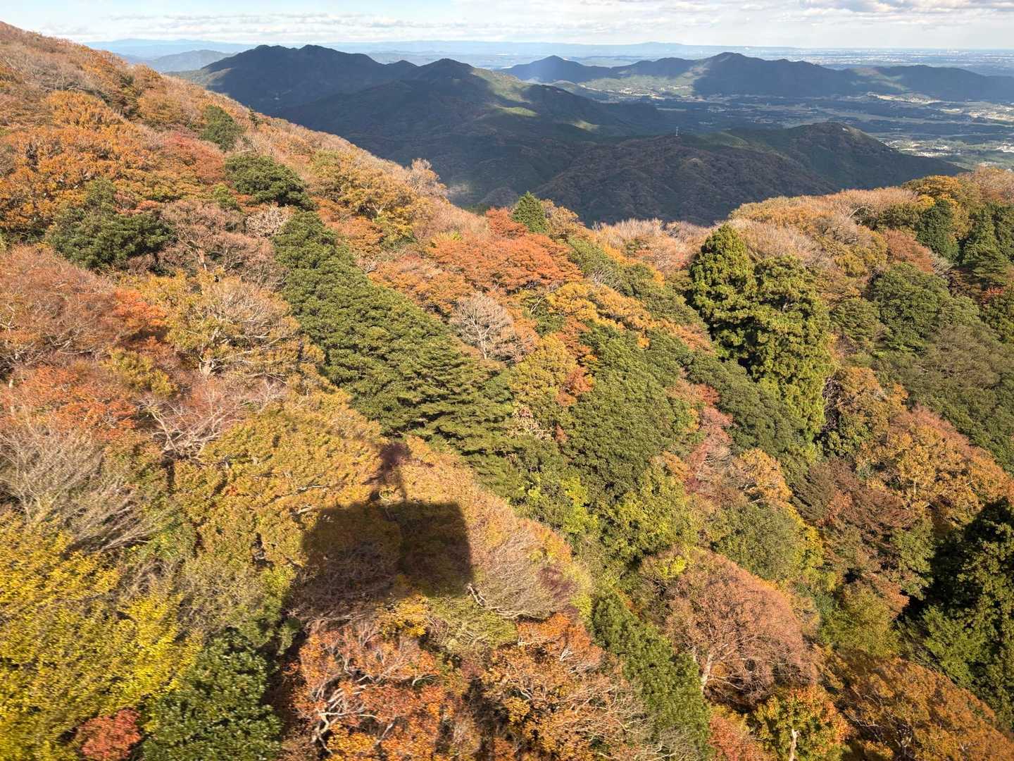 紅葉はこんな感じ！
