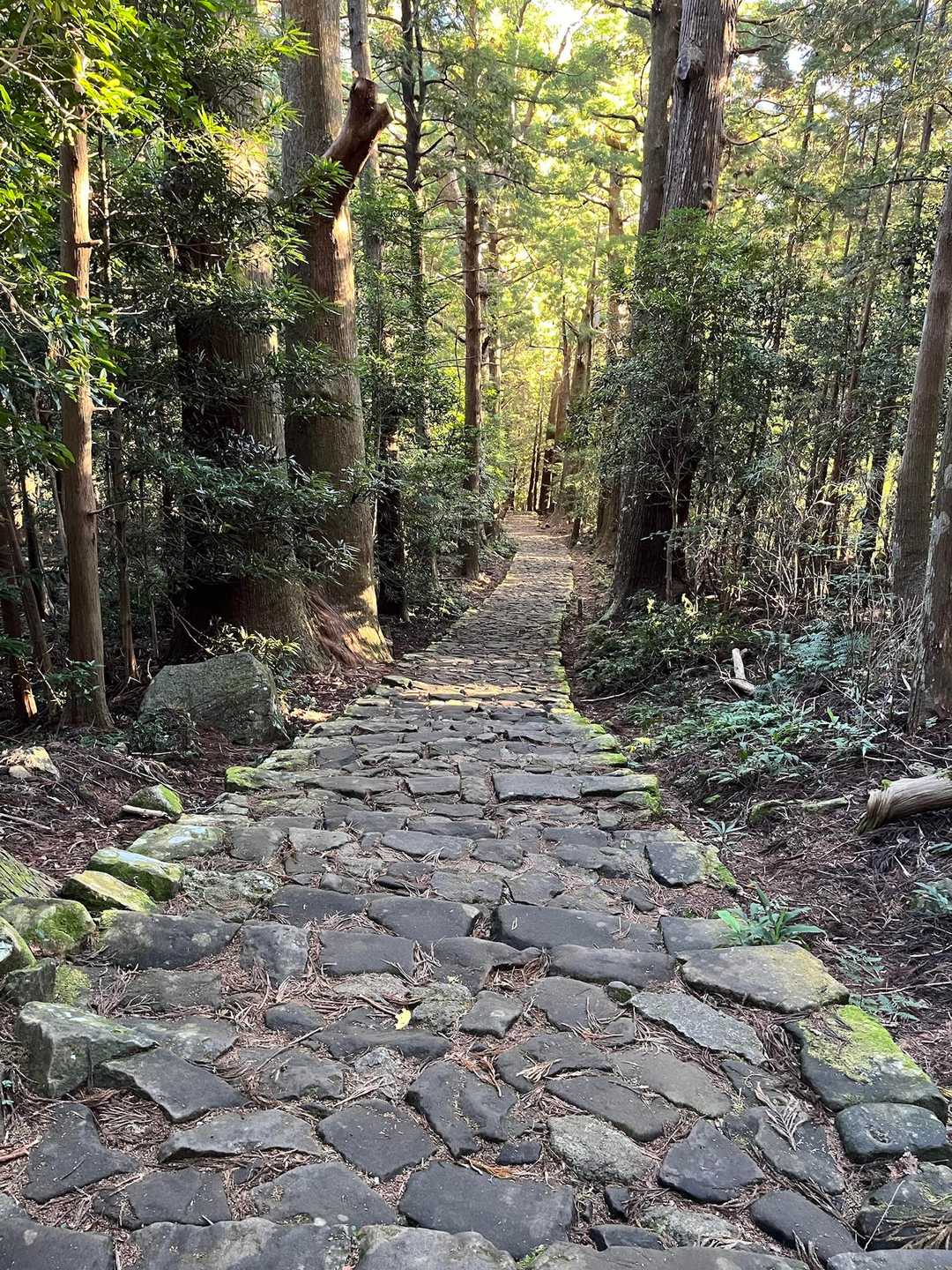 熊野古道 大門坂から那智の滝 / ORIE …