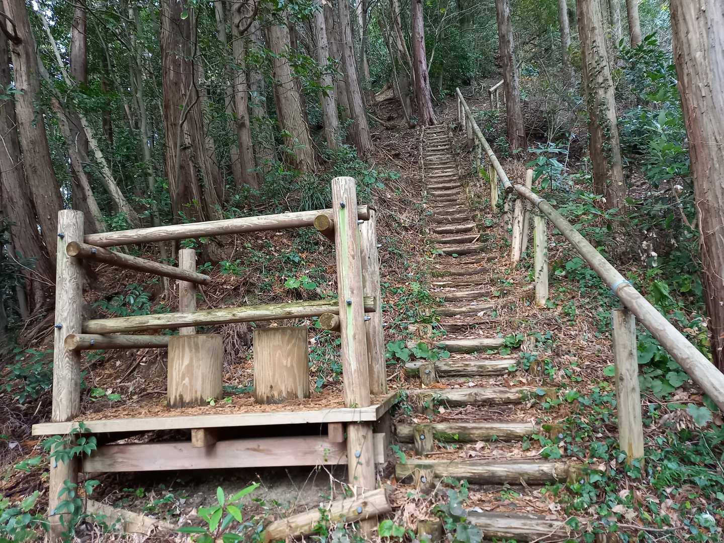 ここにもカップルシート(笑)
かなり急な階段です。