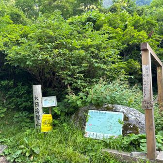 ちょろっと遊びに