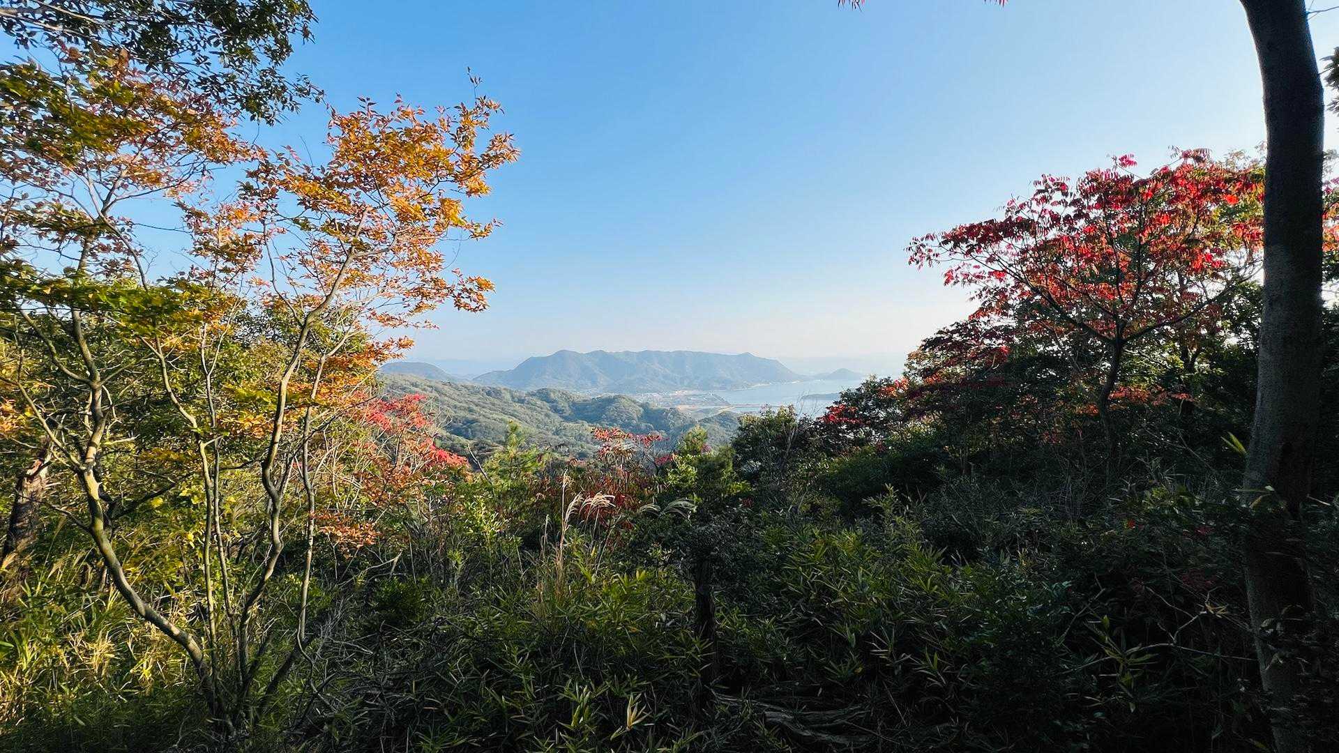長坂登山口-立石山-横峯山-天神山 周回コースの写真