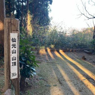 山頂に枯葉のマスク😆