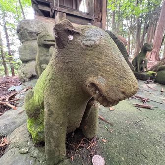 こちらは割れてしまっているけど補修の跡がある