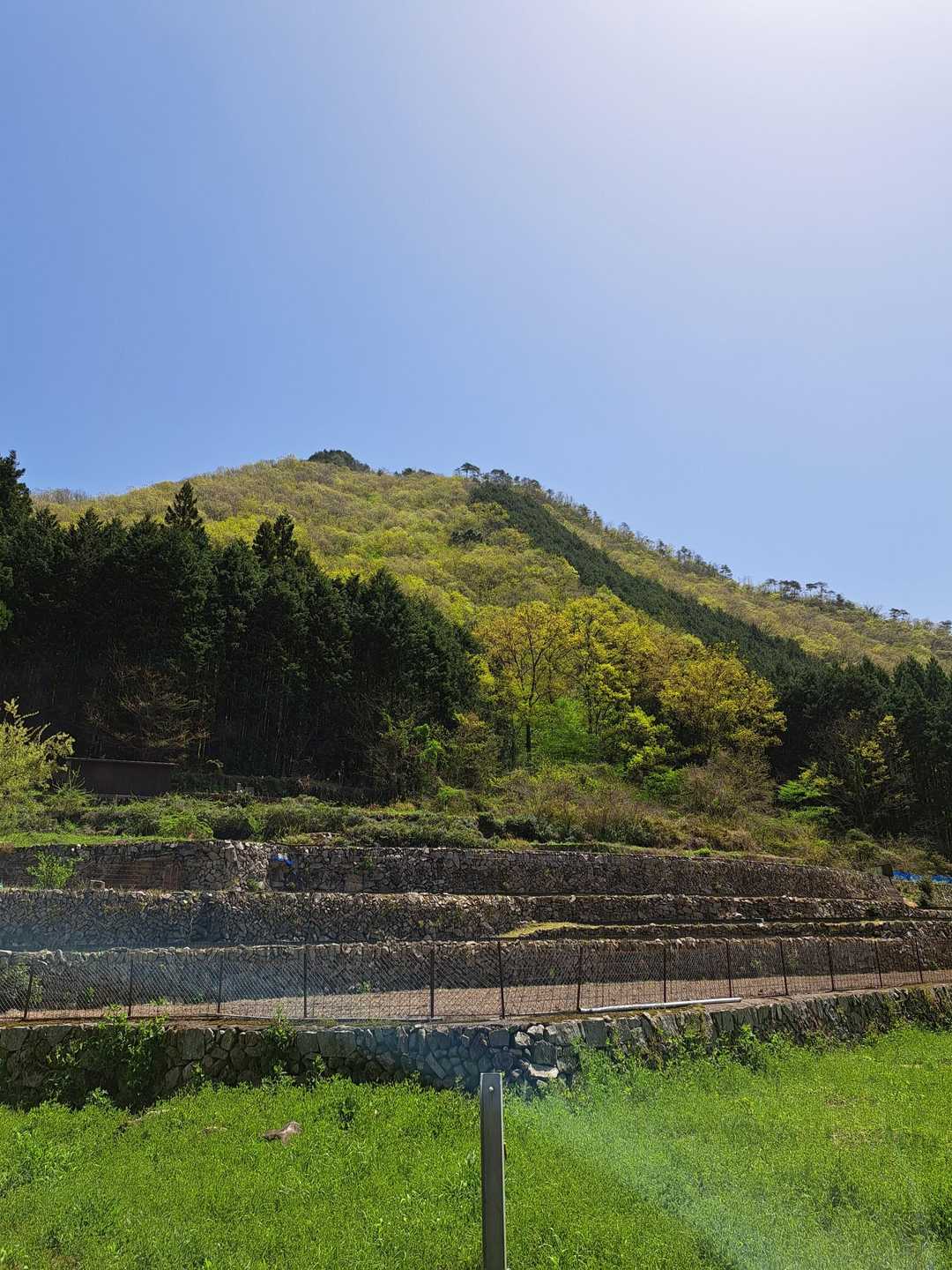 登った津浪丸山