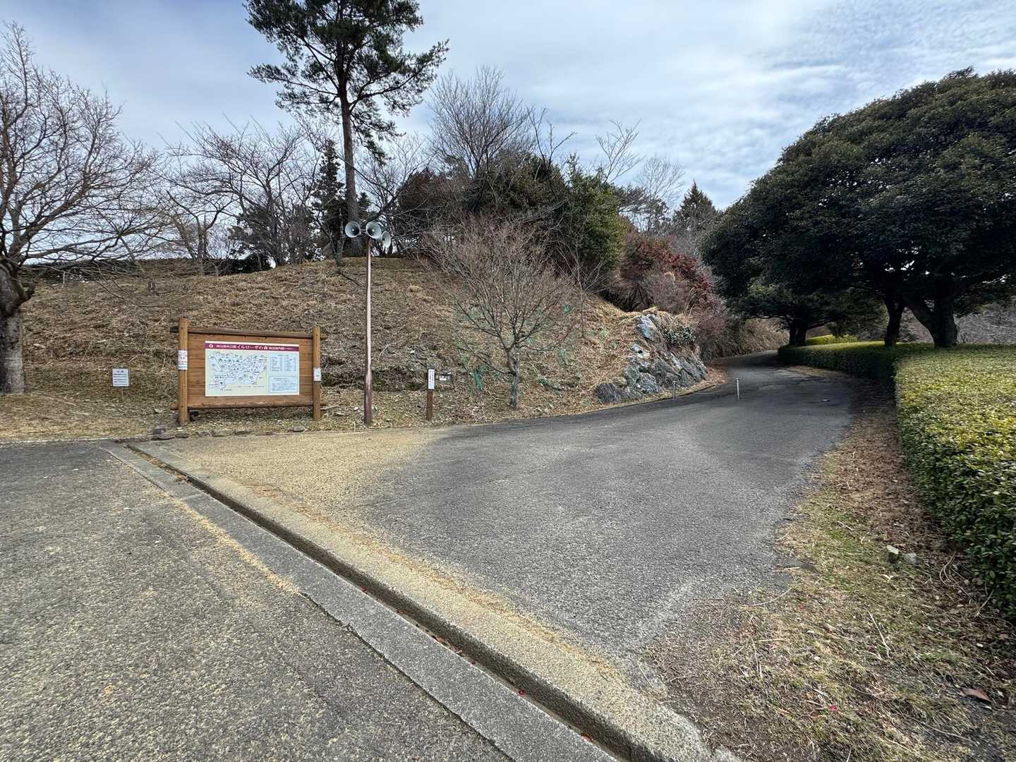 看板の裏側から登山道が始まります。