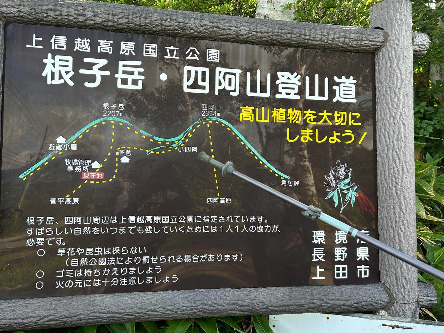 ここからスタートします