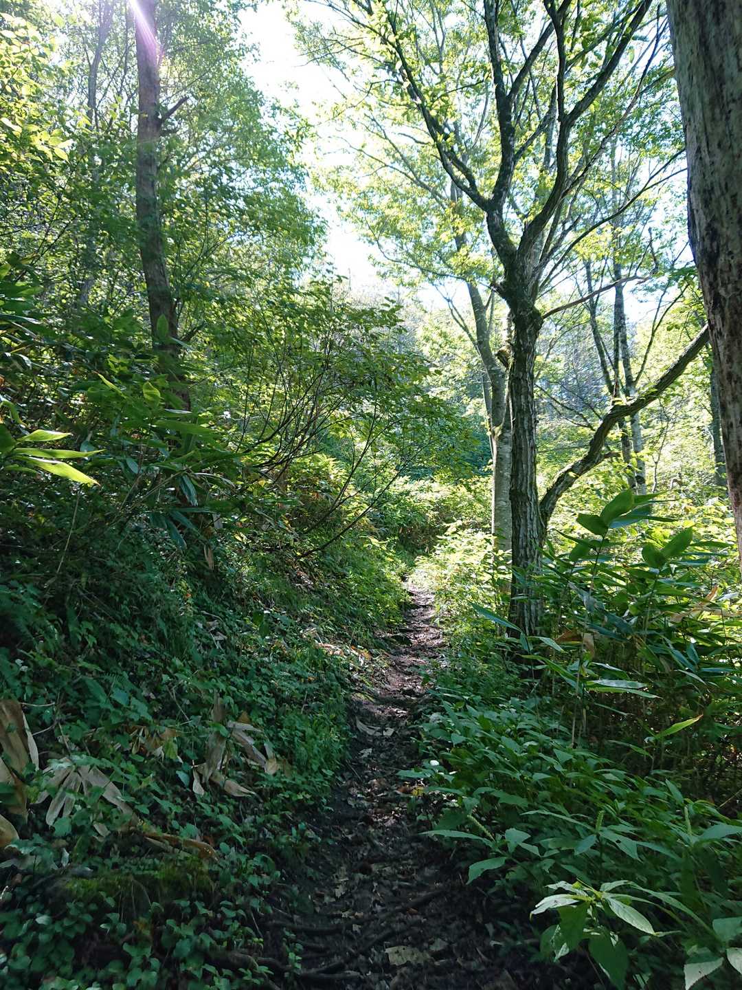 薬莱ガーデン登山口-薬莱神社-薬萊山-薬莱山登山口 縦走コースの写真