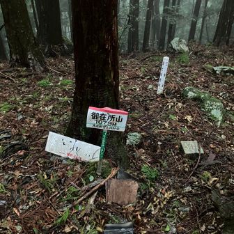 御在所山山頂